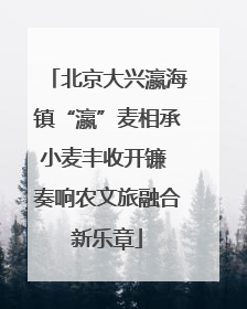 北京大兴瀛海镇“瀛”麦相承小麦丰收开镰 奏响农文旅融合新乐章