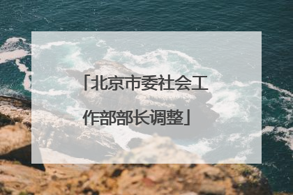 北京市委社会工作部部长调整