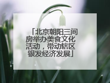 北京朝阳三间房举办美食文化活动，带动辖区银发经济发展