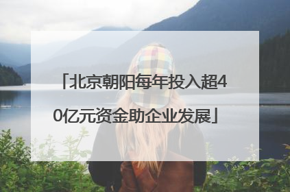 北京朝阳每年投入超40亿元资金助企业发展