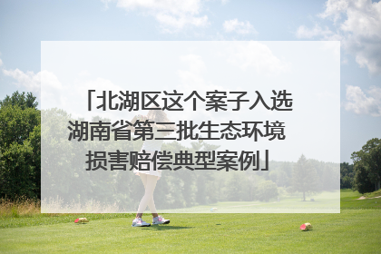 北湖区这个案子入选湖南省第三批生态环境损害赔偿典型案例