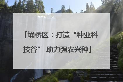 埇桥区：打造“种业科技谷” 助力强农兴种