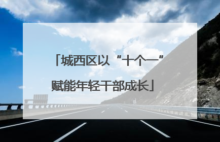 城西区以“十个一”赋能年轻干部成长