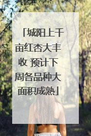 城阳上千亩红杏大丰收 预计下周各品种大面积成熟