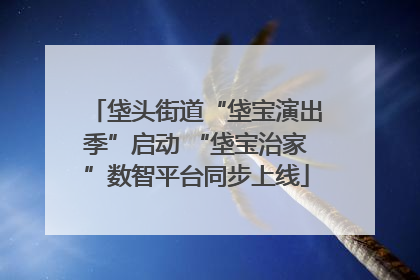 垡头街道“垡宝演出季”启动 “垡宝治家”数智平台同步上线