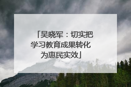 吴晓军：切实把学习教育成果转化为惠民实效