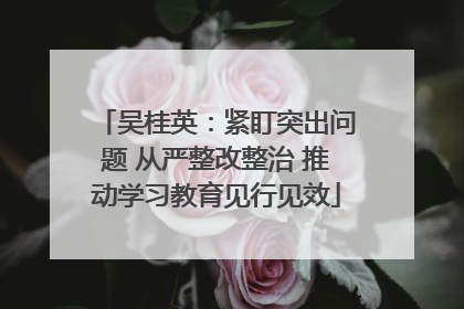 吴桂英：紧盯突出问题 从严整改整治 推动学习教育见行见效