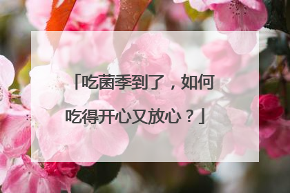吃菌季到了，如何吃得开心又放心？