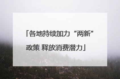 各地持续加力“两新”政策 释放消费潜力