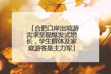 合肥口岸出境游需求呈现爆发式增长，学生群体及家庭游客是主力军