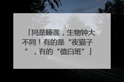 同是睡莲，生物钟大不同！有的是“夜猫子”，有的“值白班”