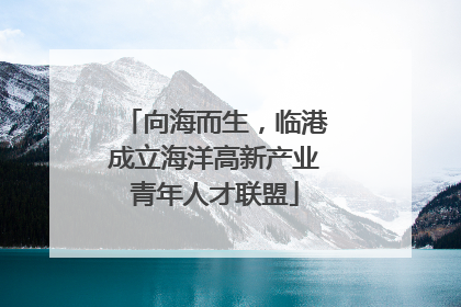 向海而生，临港成立海洋高新产业青年人才联盟
