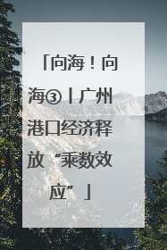 向海！向海③丨广州港口经济释放“乘数效应”