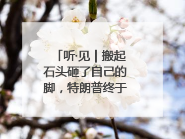 听·见｜搬起石头砸了自己的脚，特朗普终于“慌”了！