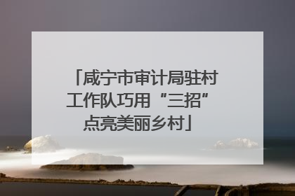 咸宁市审计局驻村工作队巧用“三招”点亮美丽乡村