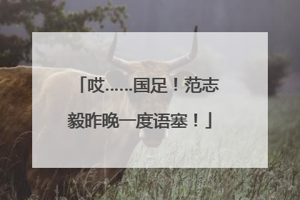 哎……国足！范志毅昨晚一度语塞！