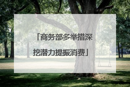 商务部多举措深挖潜力提振消费
