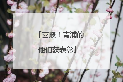 喜报！青浦的他们获表彰