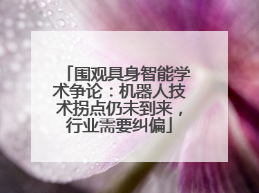 围观具身智能学术争论：机器人技术拐点仍未到来，行业需要纠偏