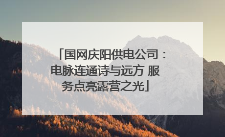 国网庆阳供电公司：电脉连通诗与远方 服务点亮露营之光