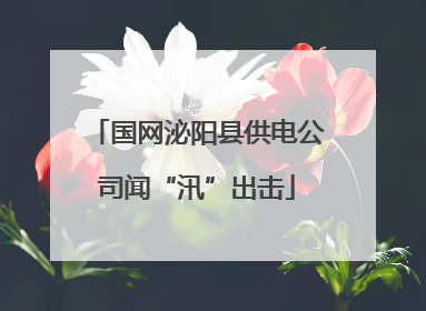 国网泌阳县供电公司闻“汛”出击
