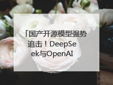国产开源模型强势追击！DeepSeek与OpenAI最新模型实测对决