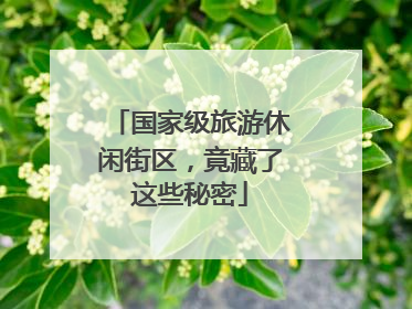 国家级旅游休闲街区，竟藏了这些秘密