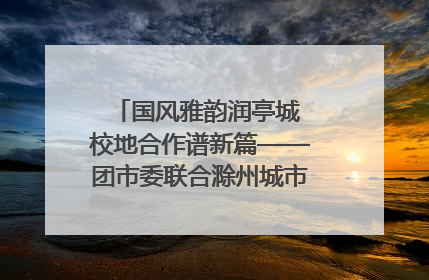 国风雅韵润亭城 校地合作谱新篇——团市委联合滁州城市职业学院助力传统文化“破圈”绽放