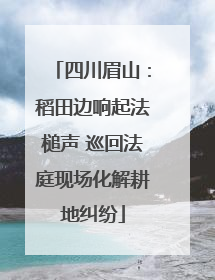 四川眉山：稻田边响起法槌声 巡回法庭现场化解耕地纠纷