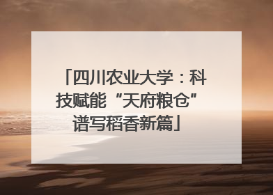 四川农业大学：科技赋能“天府粮仓”谱写稻香新篇