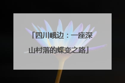 四川峨边：一座深山村落的蝶变之路