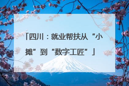 四川：就业帮扶从“小摊”到“数字工匠”