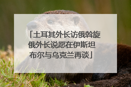 土耳其外长访俄斡旋 俄外长说愿在伊斯坦布尔与乌克兰再谈