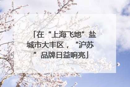 在“上海飞地”盐城市大丰区，“沪苏”品牌日益响亮
