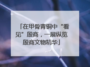 在甲骨青铜中“看见”殷商，一展纵览殷商文物精华