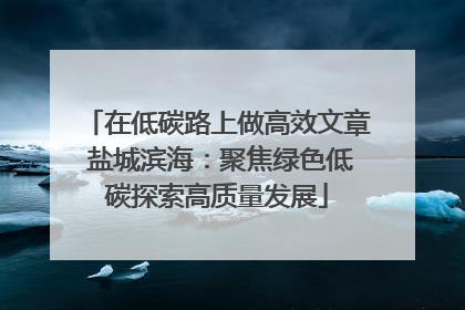 在低碳路上做高效文章 盐城滨海：聚焦绿色低碳探索高质量发展