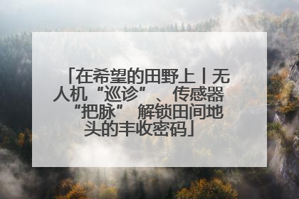 在希望的田野上丨无人机“巡诊”、传感器“把脉” 解锁田间地头的丰收密码
