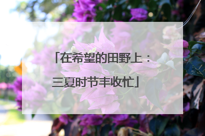 在希望的田野上：三夏时节丰收忙