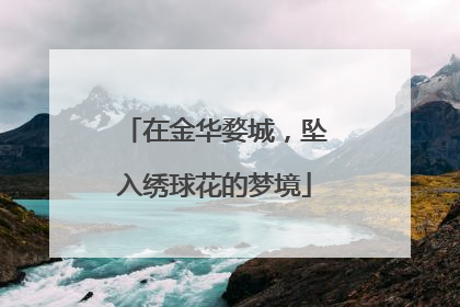 在金华婺城，坠入绣球花的梦境