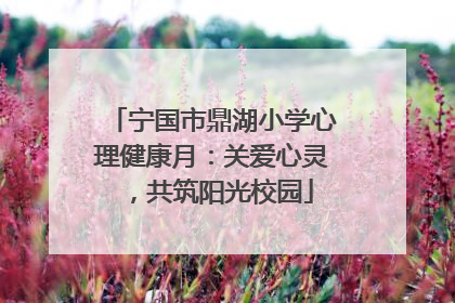 宁国市鼎湖小学心理健康月：关爱心灵，共筑阳光校园