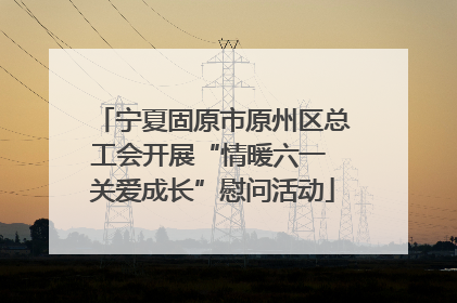 宁夏固原市原州区总工会开展“情暖六一 关爱成长”慰问活动