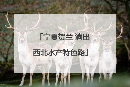 宁夏贺兰 淌出西北水产特色路