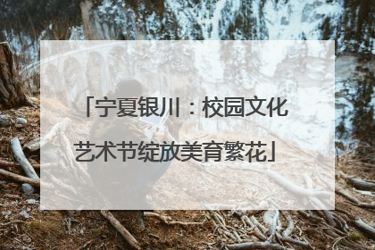 宁夏银川：校园文化艺术节绽放美育繁花