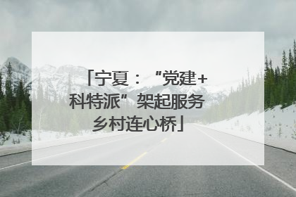 宁夏：“党建+科特派”架起服务乡村连心桥