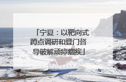 宁夏：以靶向式蹲点调研和登门督导破解顽瘴痼疾