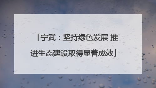 宁武：坚持绿色发展 推进生态建设取得显著成效