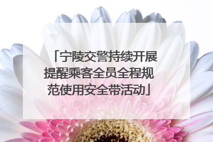 宁陵交警持续开展提醒乘客全员全程规范使用安全带活动