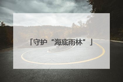 守护“海底雨林”
