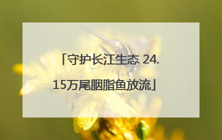 守护长江生态 24.15万尾胭脂鱼放流