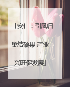 安仁：引凤归巢结硕果 产业兴旺促发展
